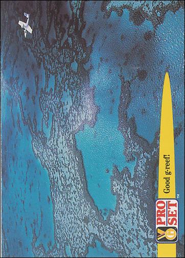 Guinness World Records (Base Set) card 61 Good g-reef!