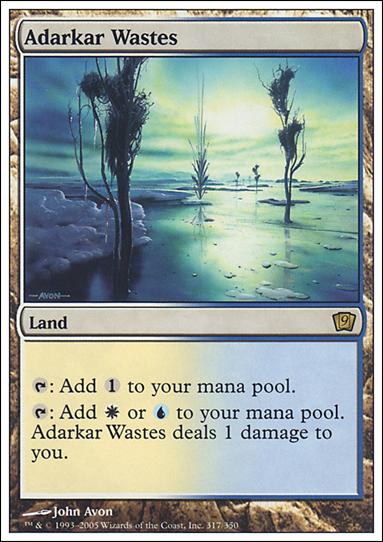 Magic the Gathering: 9th Edition (Base Set) card 317 Adarkar Wastes