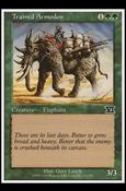 Magic the Gathering: 6th Edition (Base Set) card 257 Trained Armodon