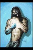 Top Cow Showcase: The Painted Cow (Base Set) card 46 Jaime