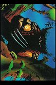 Wolverine: From Then 'Til Now II (Base Set) card 17 Ferocious