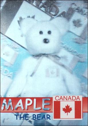 Beanie Babies Series 2 (Rare Bear Holographic Subset) Cover Image 1
