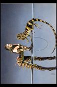 Chris Achilleos Series Two: Angels and Amazons (Promo) Cover Image 1