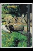Stargate SG-1 Premiere Edition (Base Set) card 30 Thor's Chariot