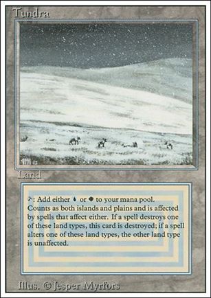 Magic the Gathering: Revised (Base Set) card 289 Tundra
