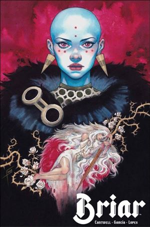 Briar issue 2-C Frany Cover