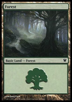 Magic the Gathering: Innistrad (Base Set) card 263 Forest