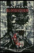 Batman: Bloodstorm issue 1 Dust Jacket