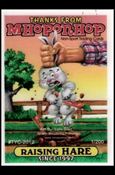 MHopOnHop Non-Sport Cards (Promo) card TY-2012-B Clear (See-thru) Card 1/200