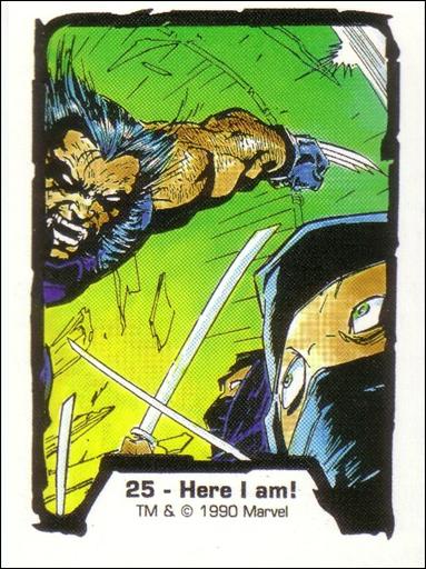Jim Lee Series 1 (Base Set) card 25 Here I am!