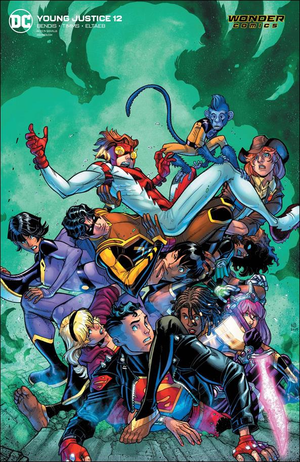 Young Justice (2019) issue 12-B Nick Bradshaw Cardstock Cover