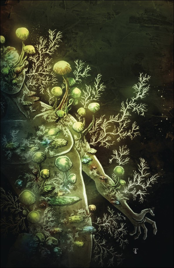 In Bloom issue 4-C Ben Templesmith Virgin 1:10 Cover