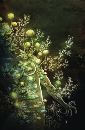 In Bloom issue 4-C Ben Templesmith Virgin 1:10 Cover