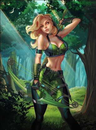 Robyn Hood: Last Stop issue 1-C Igor Lomov Cover