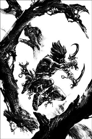 Dejah Thoris Versus John Carter issue 3-F Sebastian Fiumara 1:7 Black & White Virgin Cover