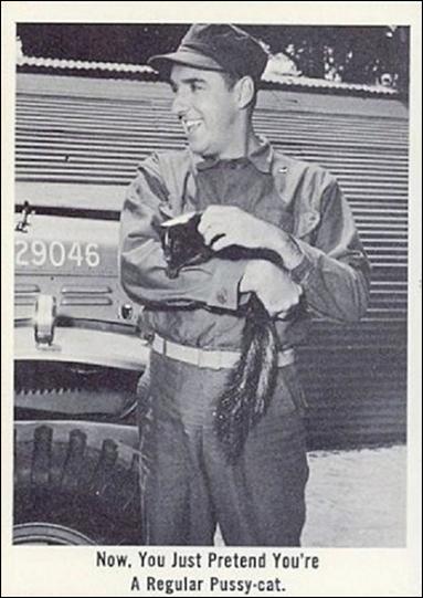 Gomer Pyle (Base Set) card 42 Now, You Just Pretend You're a Regular Pussy-cat.