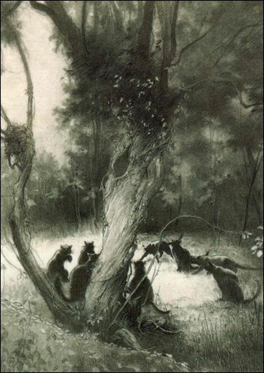 Charles Vess (Base Set) card 53 Midnight Grove