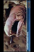 Star Wars: The Empire Strikes Back Widevision (Finest Chromium Subset) card C6