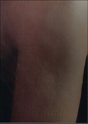 Alias: Season Three (The Lost Years Puzzle Cards Subset) card L8