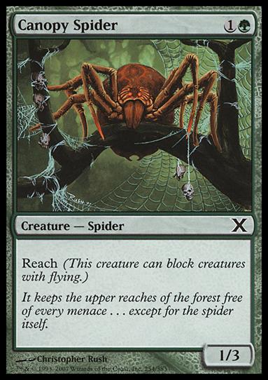 Magic the Gathering: 10th Edition (Base Set) card 254 Canopy Spider