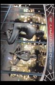 Spider-Man 3: The Movie (Base Set) card 43