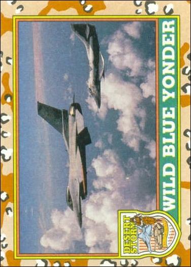 Desert Storm: Series 1 (Base Set) card 30 Wild Blue Yonder