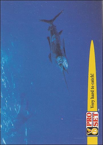 Guinness World Records (Base Set) card 82 Very hard to catch!