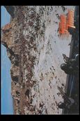 Starship Troopers: Series 1 (Base Set) card 29 Bugs!