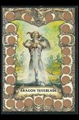 Battle Cards (Base Set) card 80 Aragon Trueblade