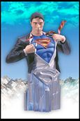 Superman Returns Mini-Busts item 1 Clark Kent