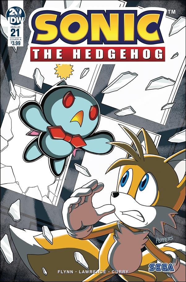 Sonic the Hedgehog (2018) issue 21 Aaron Hammerstrom Cover