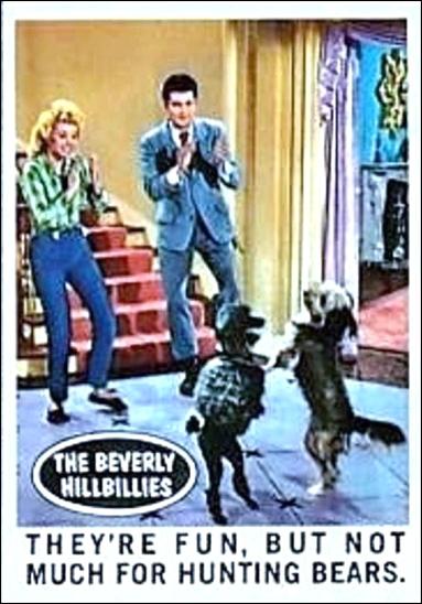 Beverly Hillbillies (Base Set) card 35 They're Fun, But Not Much for Hunting Bears.