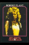 Mega Metal (Base Set) card 49 Robert Plant 5