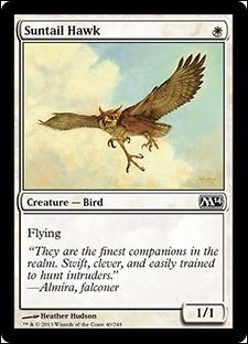 Magic the Gathering: 2014 Core Set (Base Set) card 40 Suntail Hawk