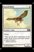 Magic the Gathering: 2014 Core Set (Base Set) card 40 Suntail Hawk