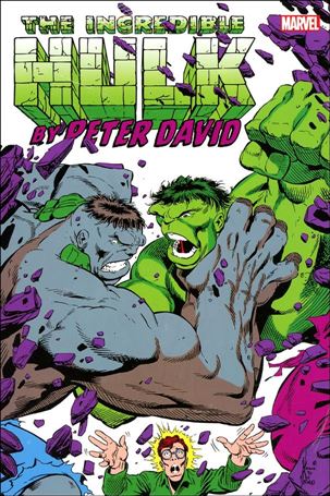 Incredible Hulk by Peter David Omnibus issue 2