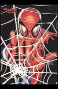 Spider-Man Archives (Base Set) card 5 Webbing