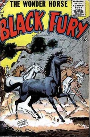 Black Fury issue 5