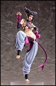 Street Fighter Bishoujo Statues  Cover Image 2