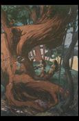 Charles Vess (Base Set) card 20 The Dryad's Song