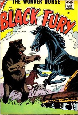 Black Fury issue 13
