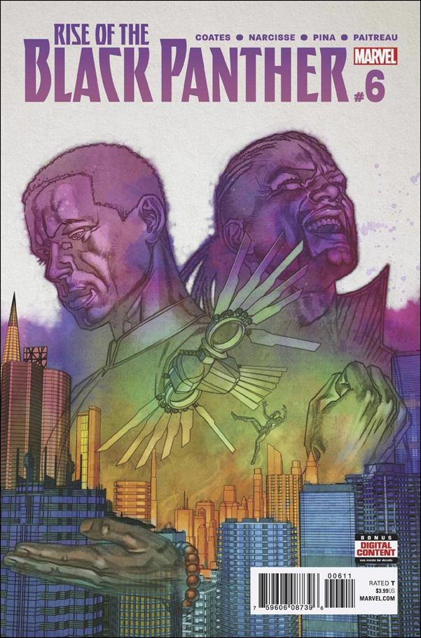 Rise of the Black Panther issue 6 Brian Stelfreeze Cover