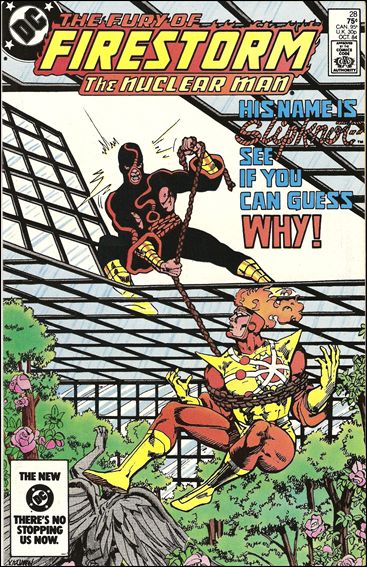 Fury of Firestorm issue 28