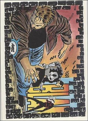 Punisher: The Whole Tough Tale (Base Set) card 30 Angela?!