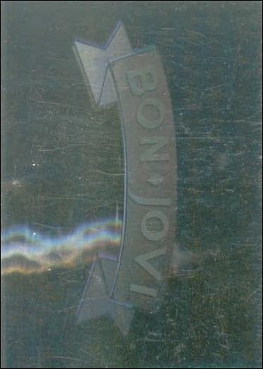 Mega Metal (Hologram Subset) card nn2 Bon Jovi