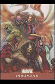 Marvel Heroes and Villains (Alliances Subset) card A12 Inhumans