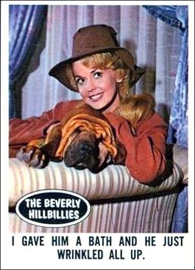 Beverly Hillbillies (Base Set) card 18 I Gave Him a Bath and He Just Wrinlled All Up.