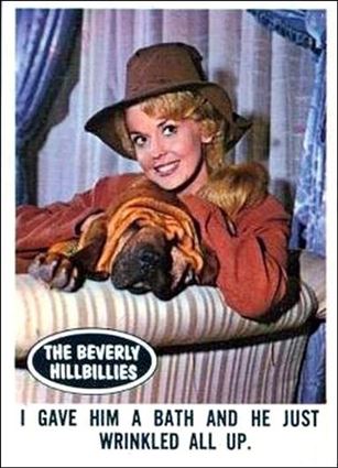 Beverly Hillbillies (Base Set) card 18 I Gave Him a Bath and He Just Wrinlled All Up.