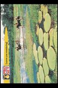 Guinness World Records (Base Set) card 79 Leaves you wondering!
