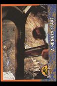 Jurassic Park (Base Set) card 35 A Hungry Stare